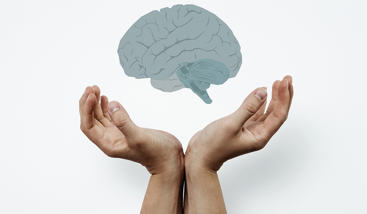 Graphic of a brain with hands below it