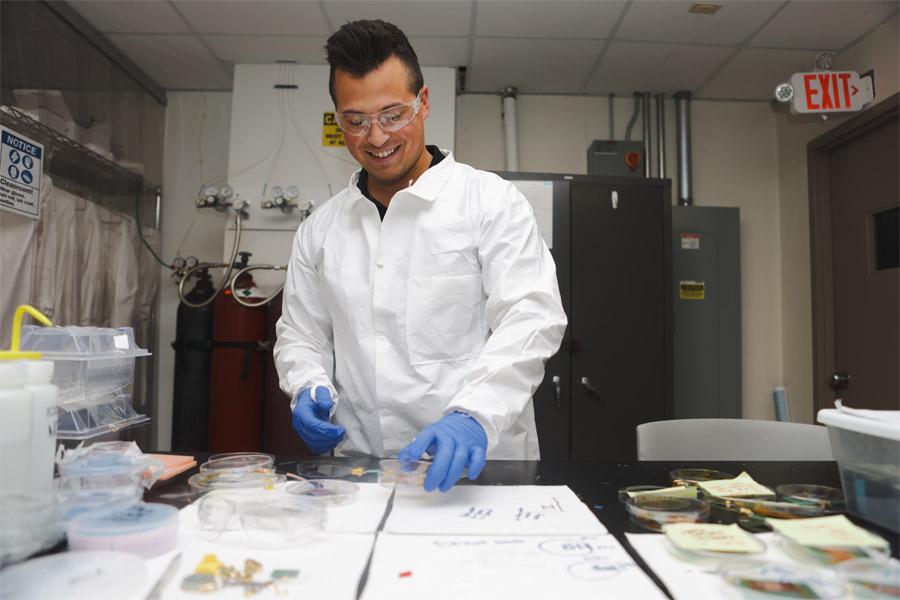 A student in a lab wearing a lab coat and protective gear with petri dishes in front of him.