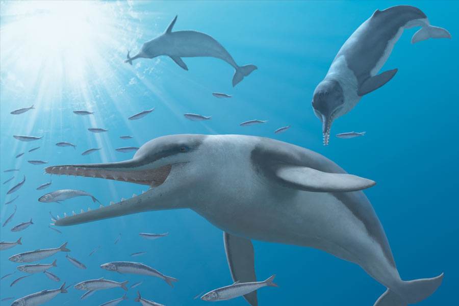 artist rendering of mammals in the ocean