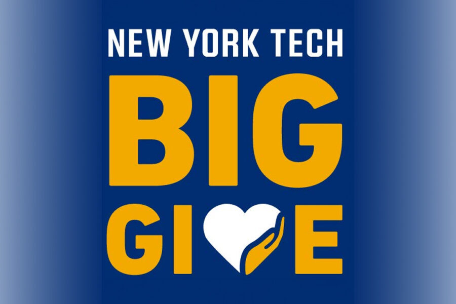 Big Give logo