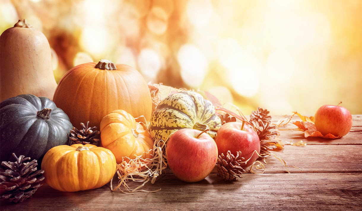 Thanksgiving pumpkin, gourds, apples