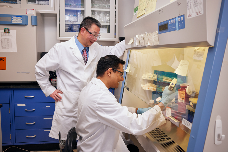 Two researchers working in lab under a fume hood. 