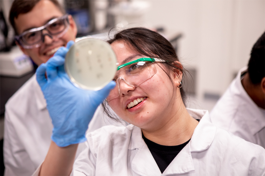 In a New York Tech laboratory, two College of Arts and Sciences students wearing safety glasses and lab coats study samples in a petri dish.