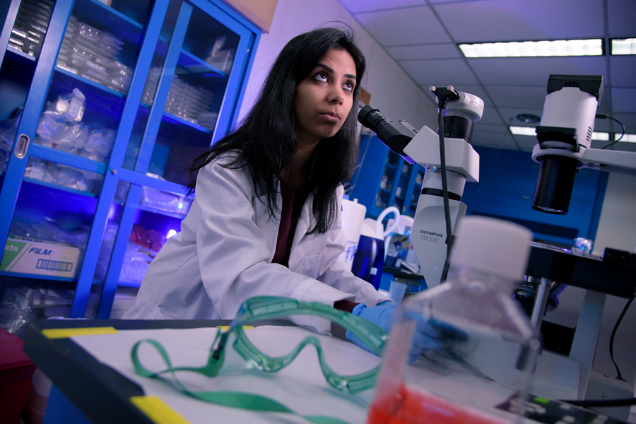 A student works with a microscope during research.