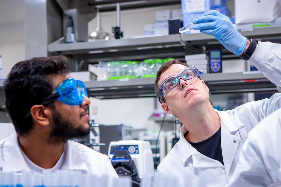 In one of New York Tech's science labs, two biological and chemical sciences students in lab coats, safety glasses, and gloves examine a test tube from below.