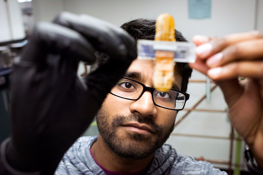 In New York Tech's Biomedical Sciences and Bioengineering Laboratory, a student participating in a real-world research project studies a sample under the light.