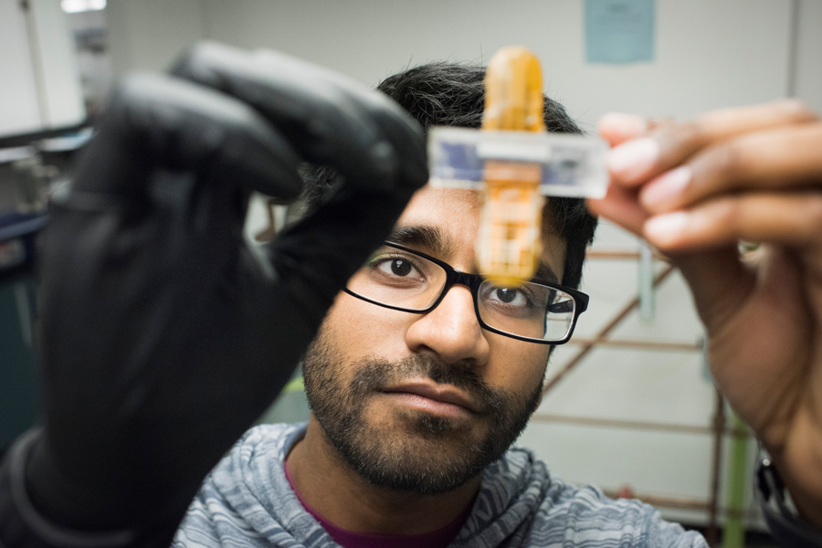 A student working on a bioengineering project in a lab. 