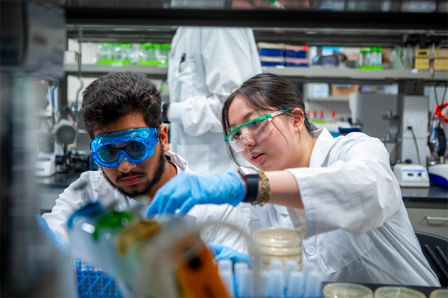 Two students work in a science lab on an experiement.