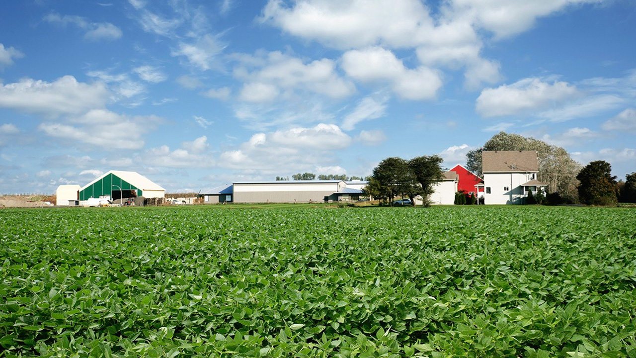 Green farmland with farm buildings in background under a cloudy blue sky.