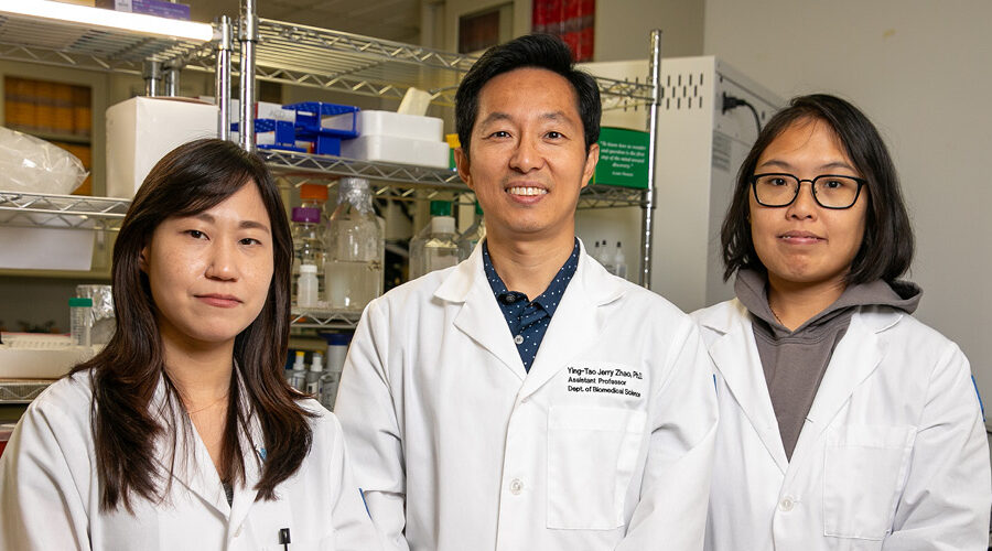 Pictured: Lead researcher Jerry Yingtao Zhao, Ph.D. (center), Postdoctoral Fellow Sohyun Moon, Ph.D. (left), and Senior Research Associate Hiu Ham “Ada” Lee (right).