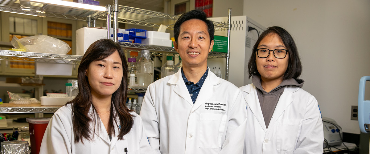 Pictured: Lead researcher Jerry Yingtao Zhao, Ph.D. (center), Postdoctoral Fellow Sohyun Moon, Ph.D. (left), and Senior Research Associate Hiu Ham “Ada” Lee (right).