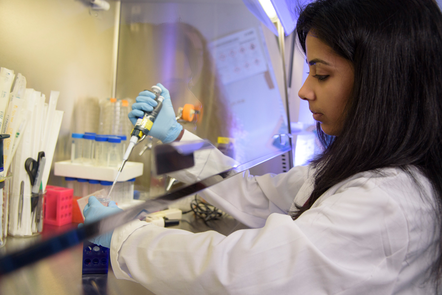 A student working with a fume hood and micro pipette.